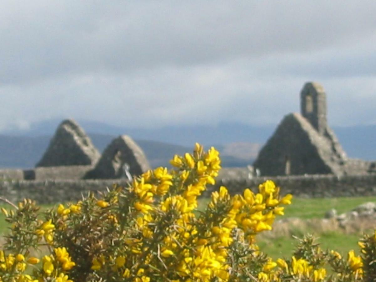 Rose Cottage Ballinskelligs Exteriér fotografie